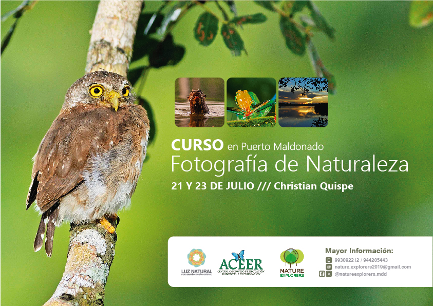 AFICHE-01-01