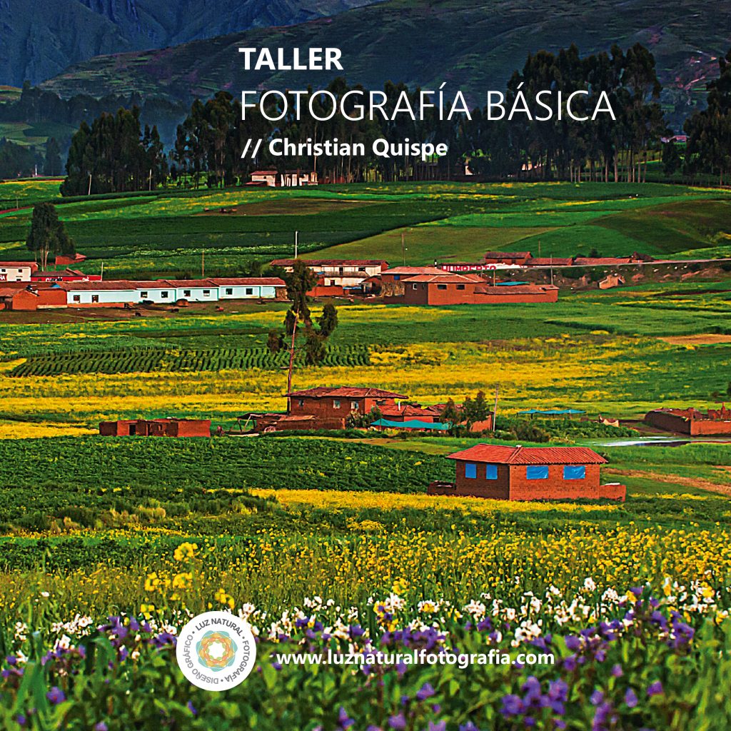 CURSO_NATURALEZA_MINIATURAS-01