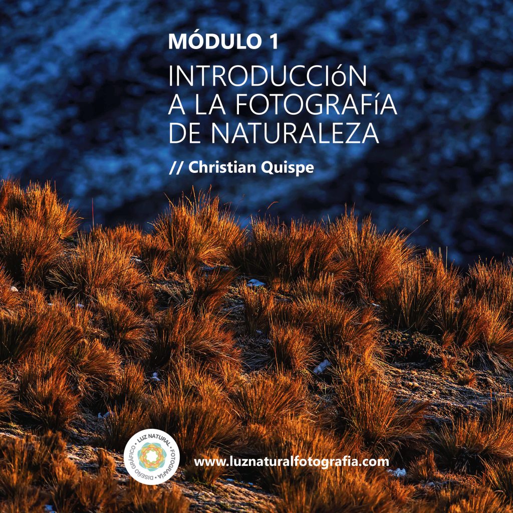CURSO_NATURALEZA_MINIATURAS-03
