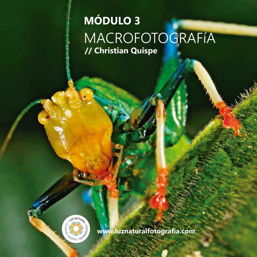 CURSO_NATURALEZA_MINIATURAS-05