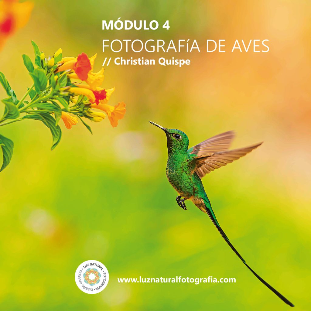 CURSO_NATURALEZA_MINIATURAS-06