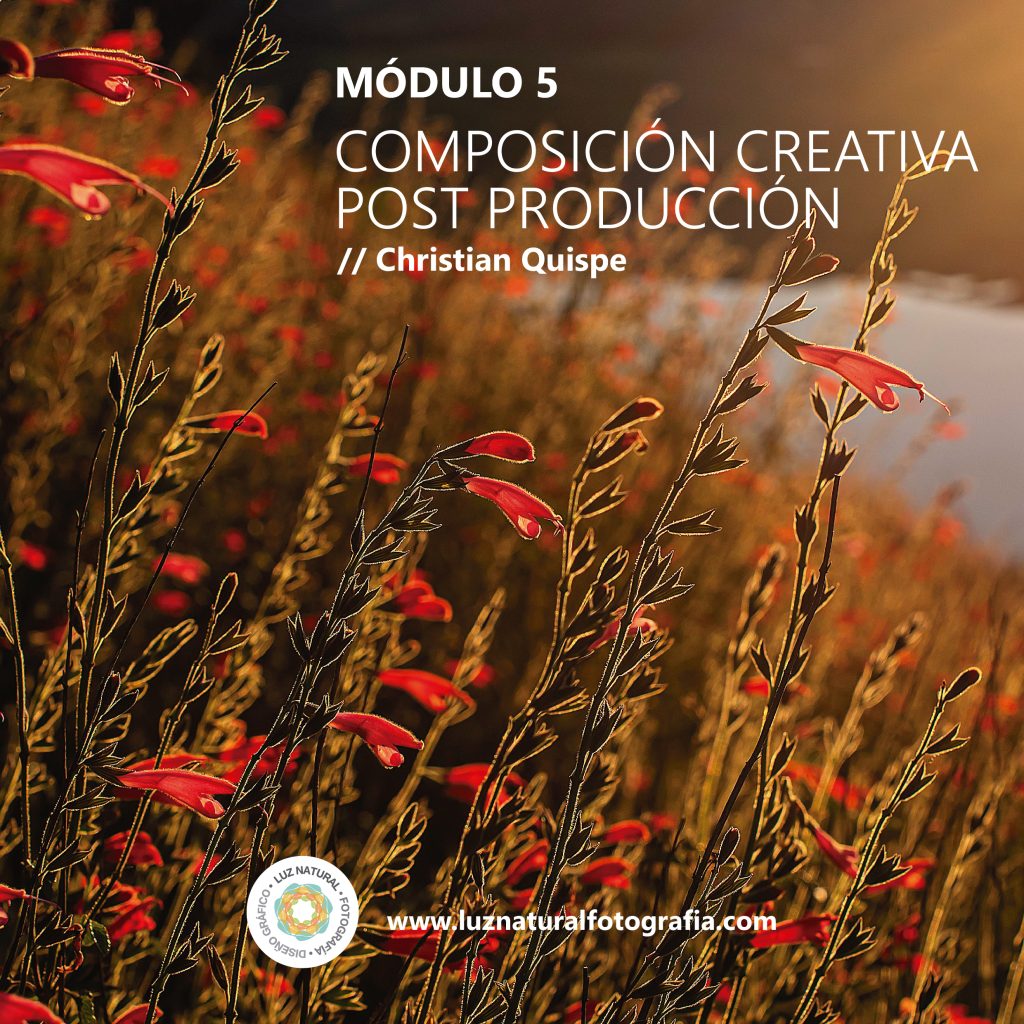 CURSO_NATURALEZA_MINIATURAS-07