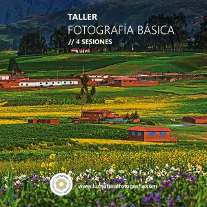 Curso naturaleza mod001 01