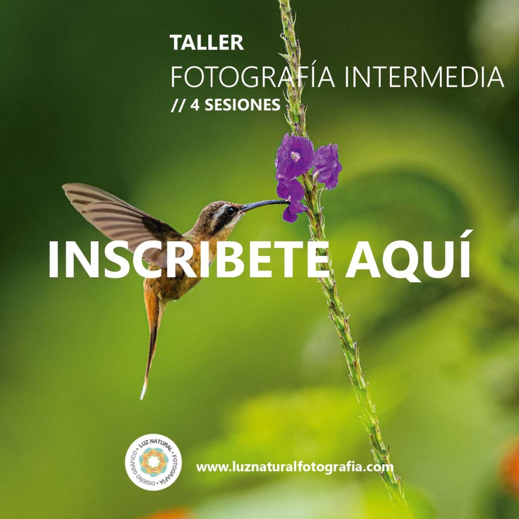 Curso naturaleza mod001 02