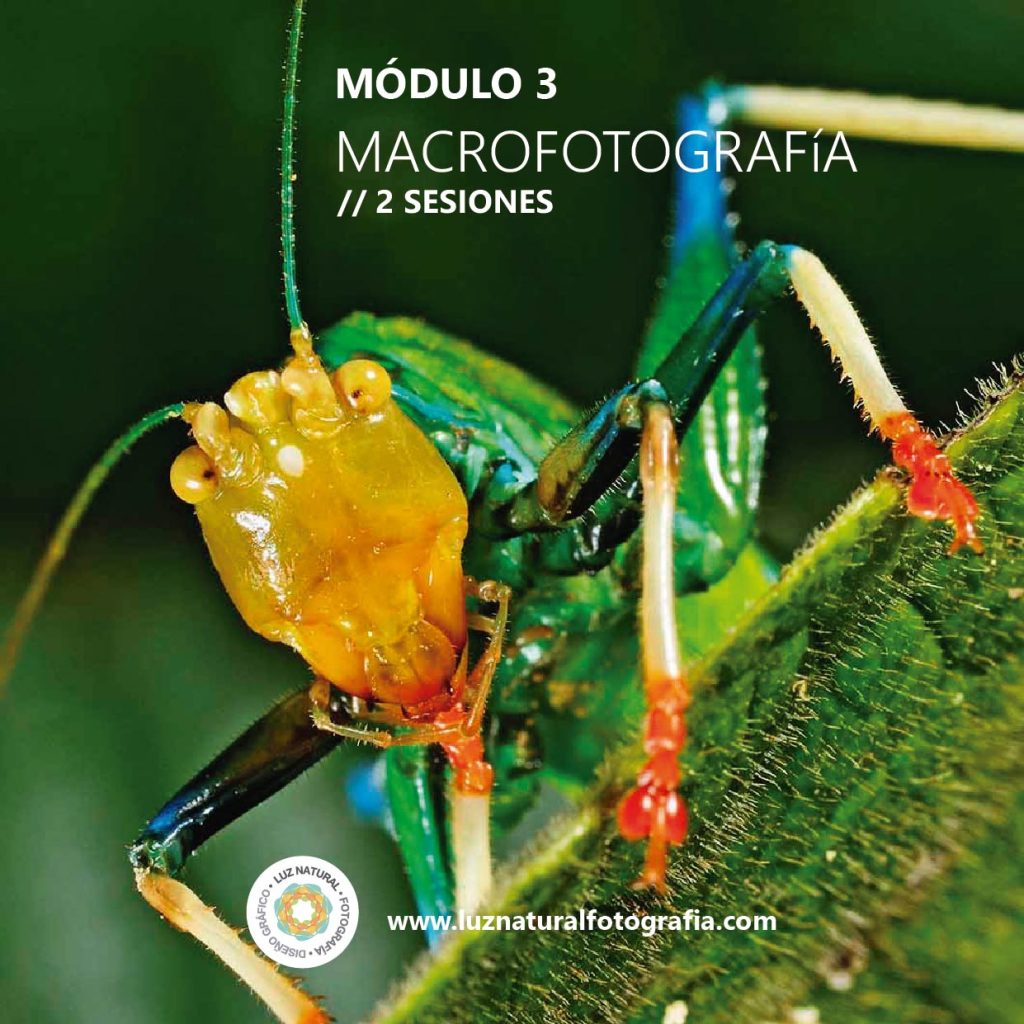 Curso naturaleza mod001 05