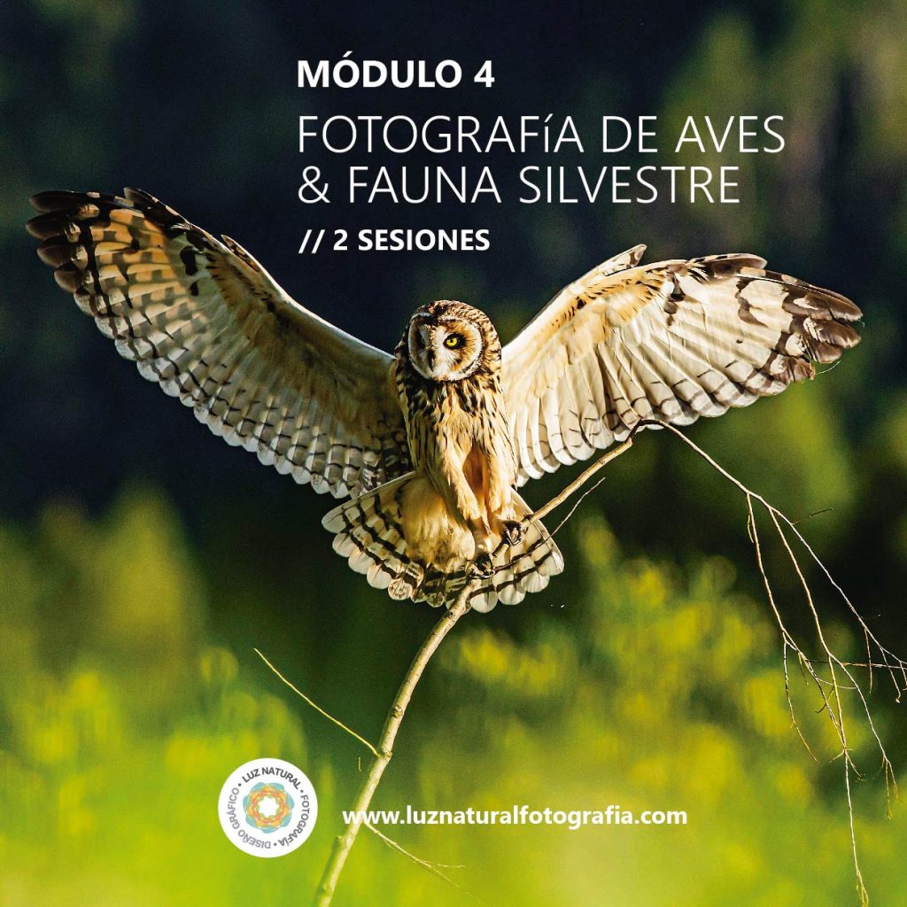 Curso naturaleza mod001 06