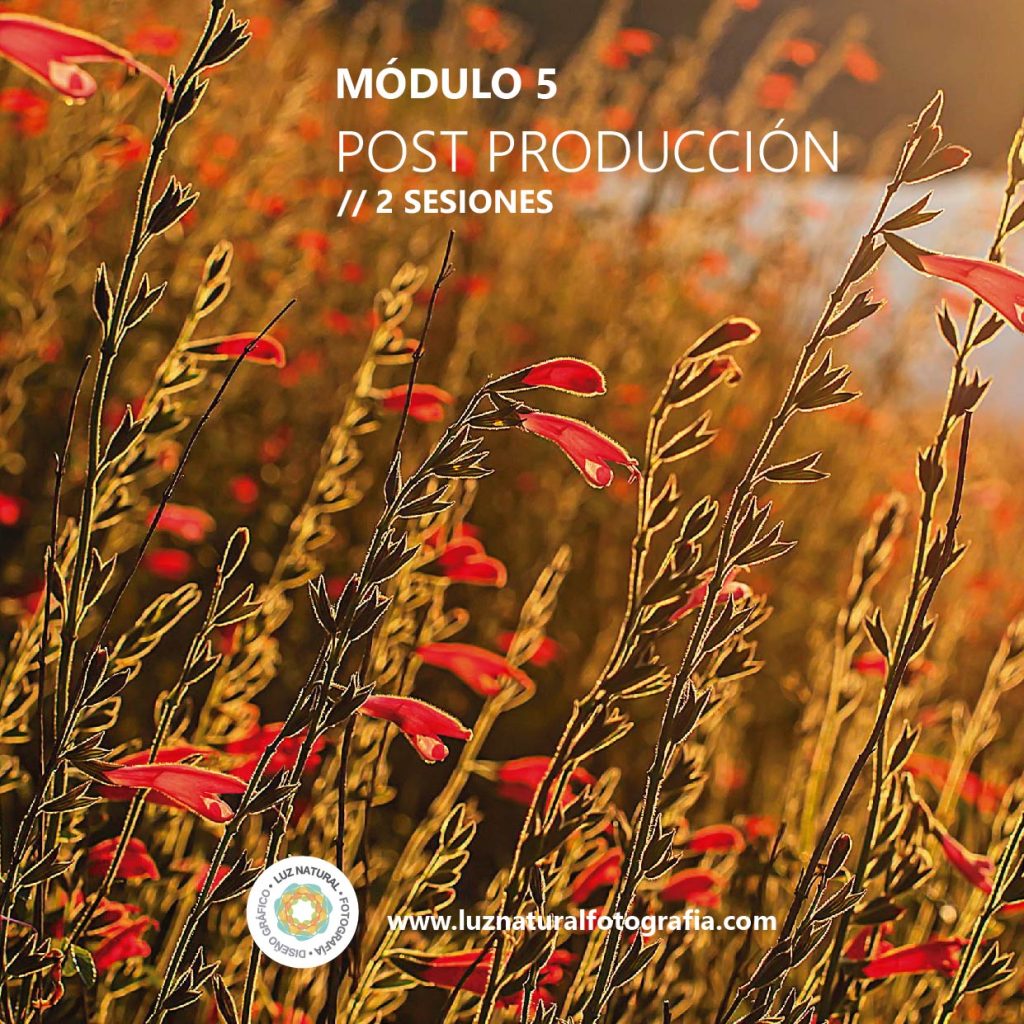 Curso naturaleza mod001 07