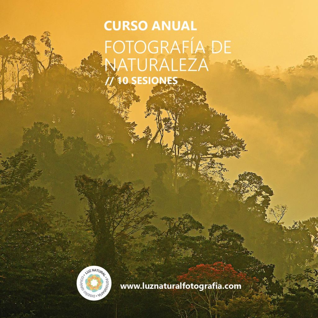 Curso naturaleza mod001 08
