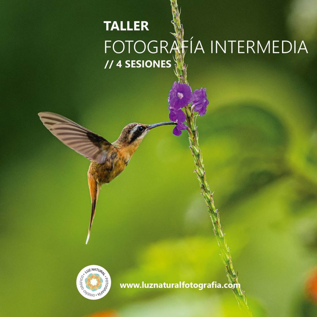 Curso naturaleza mod001222222 02