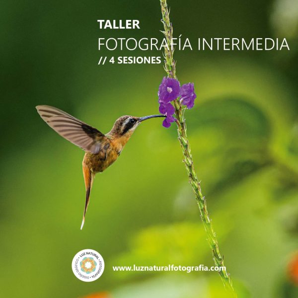 Curso naturaleza mod001222222 02