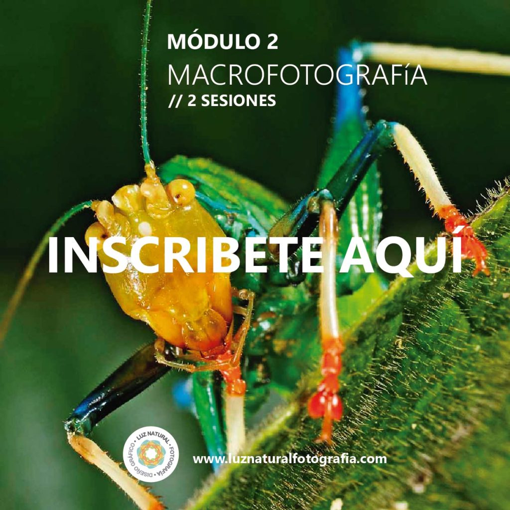 Curso naturaleza mod001aaaaaa 04