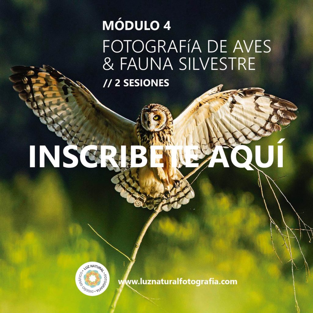 Curso naturaleza mod001aaaaaa 06