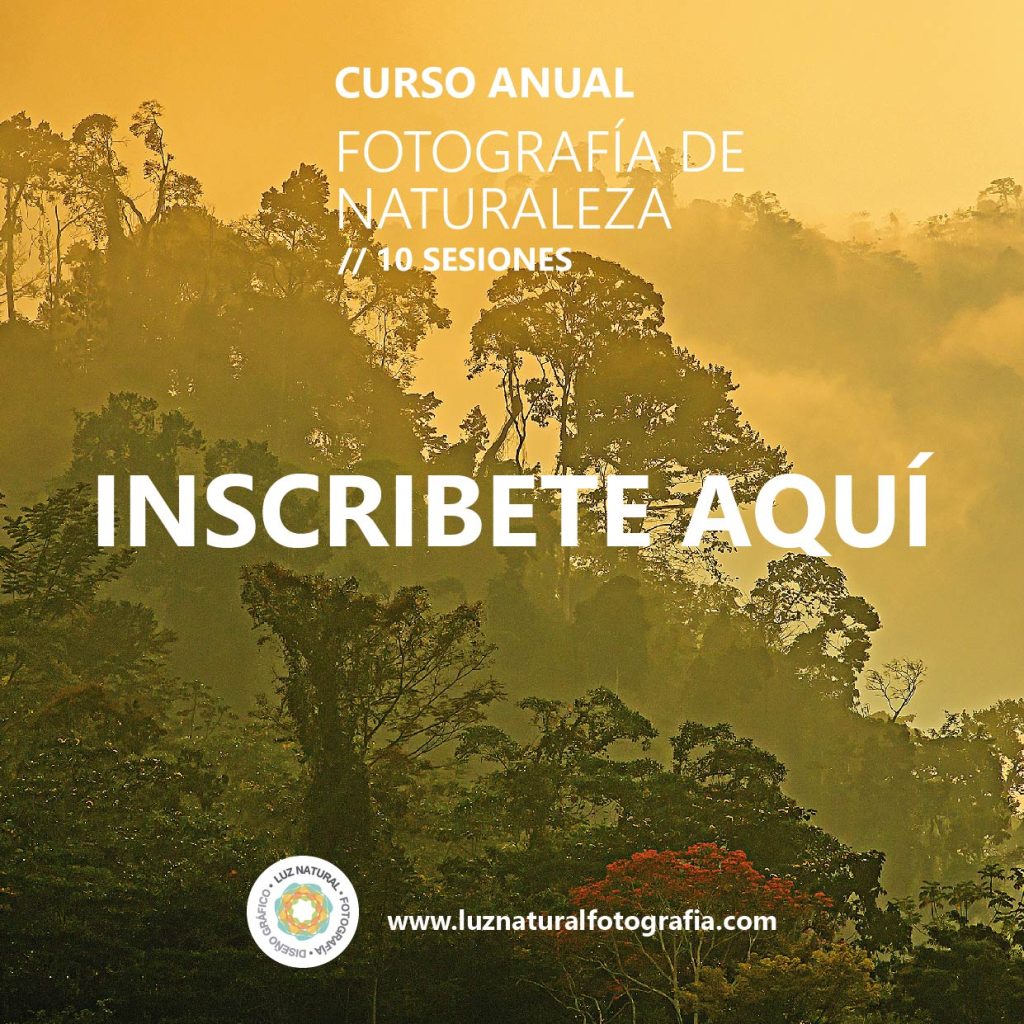 Curso naturaleza mod001aaaaaa 08