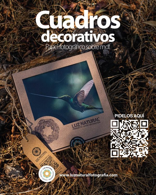 Producto post ig mesa de trabajo 1