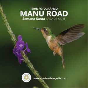 Tour manu semana santa mesa de trabajo 1