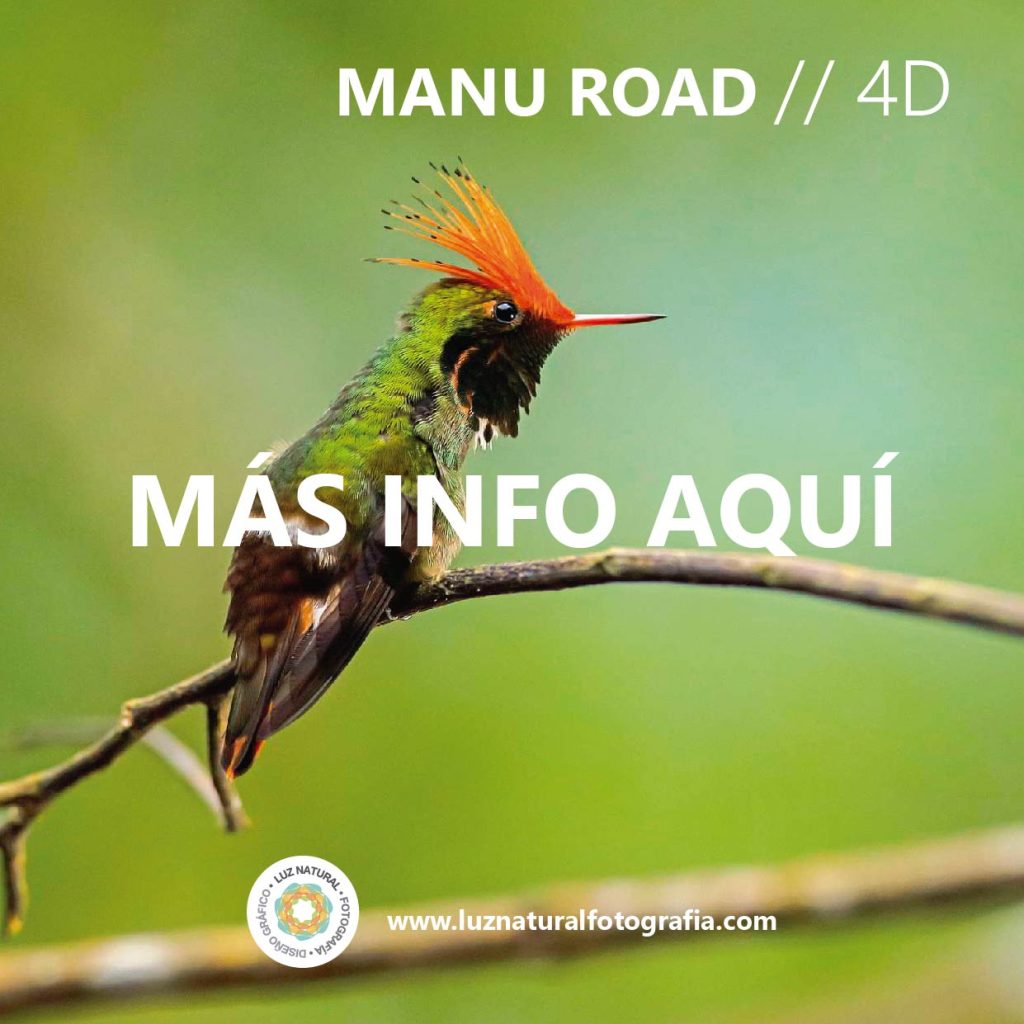 Tours fotograficos 02