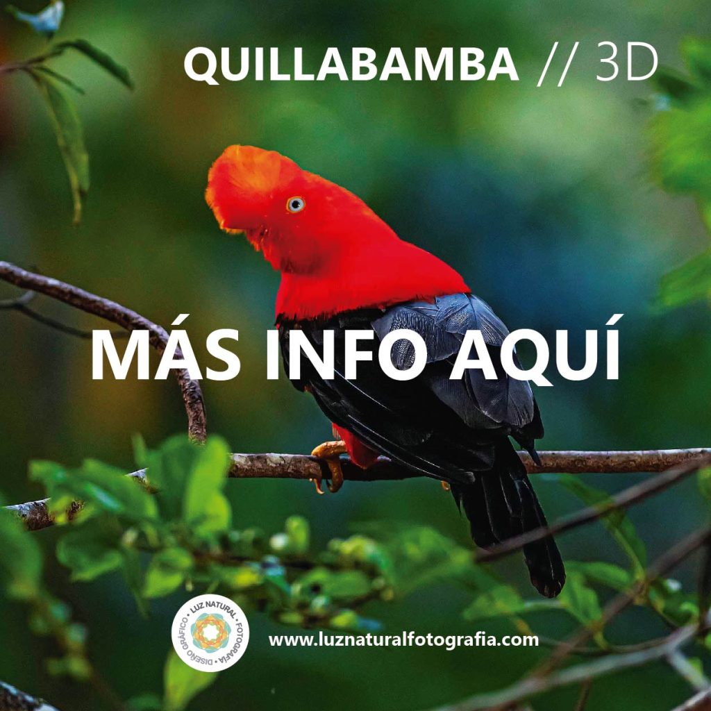 Tours fotograficos 03