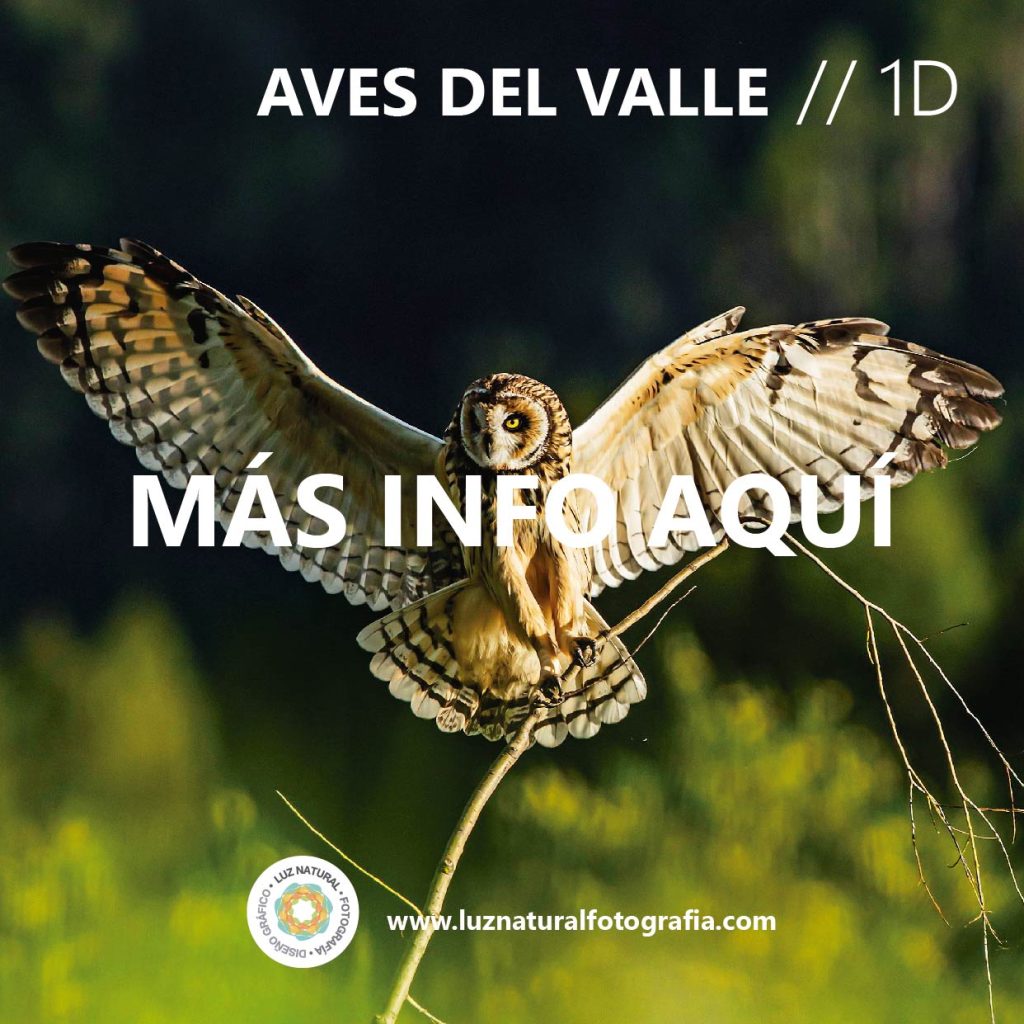 Tours fotograficos 06