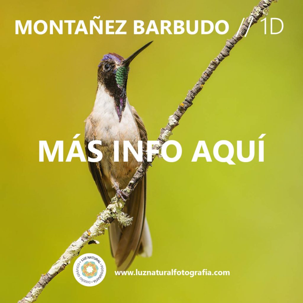 Tours fotograficos 07