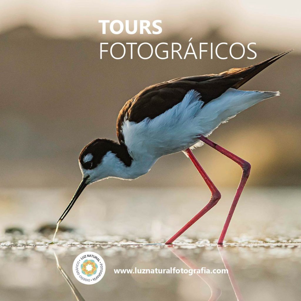 Tours fotograficos 09