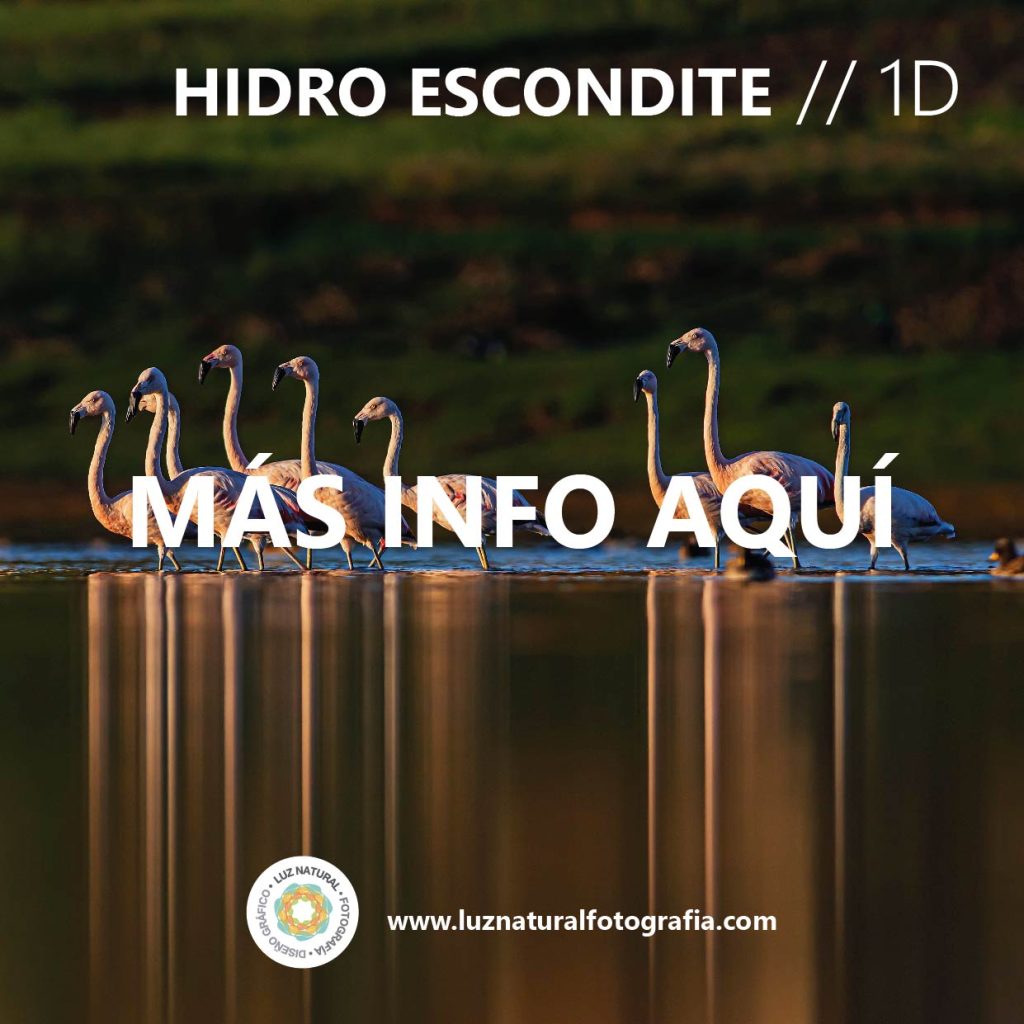 Tours fotograficos 09