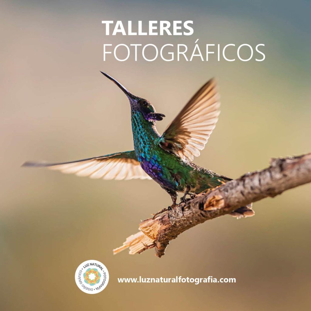 Tours fotograficos 10