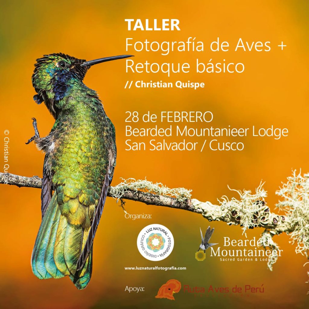 Volante taller sacred 01