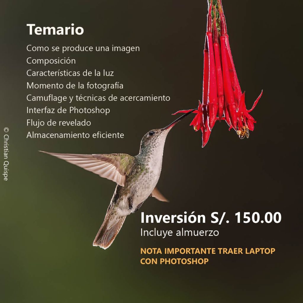 Volante taller sacred 02