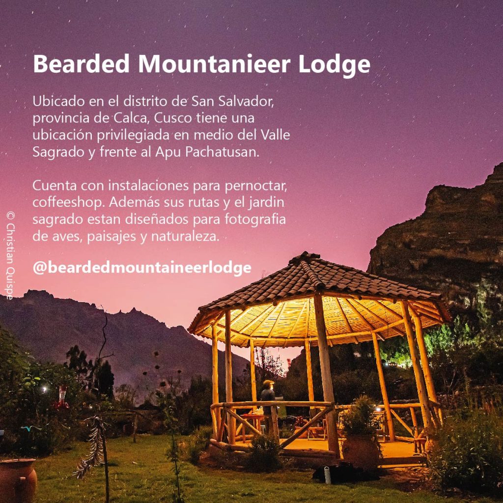 Volante taller sacred 08