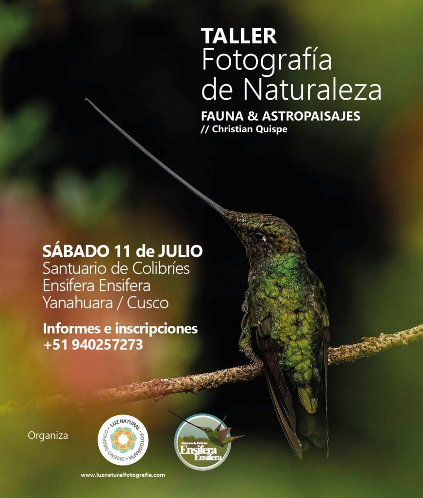 Banner taller ensifera mesa de trabajo 1